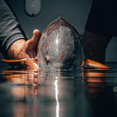 Photo Apr 10, 9 43 14 PM (1) (1)