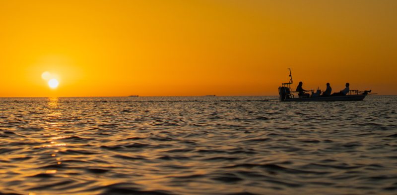 Photo Feb 05 2023, 6 49 48 PM (1)