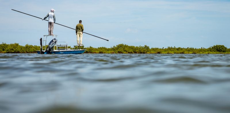 Photo Mar 26 2023, 11 16 34 AM