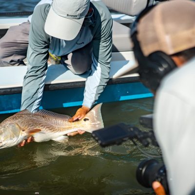 Photo Mar 26 2023, 4 27 40 PM